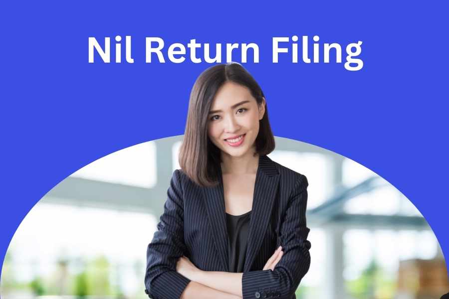 GST Nil Return Filing